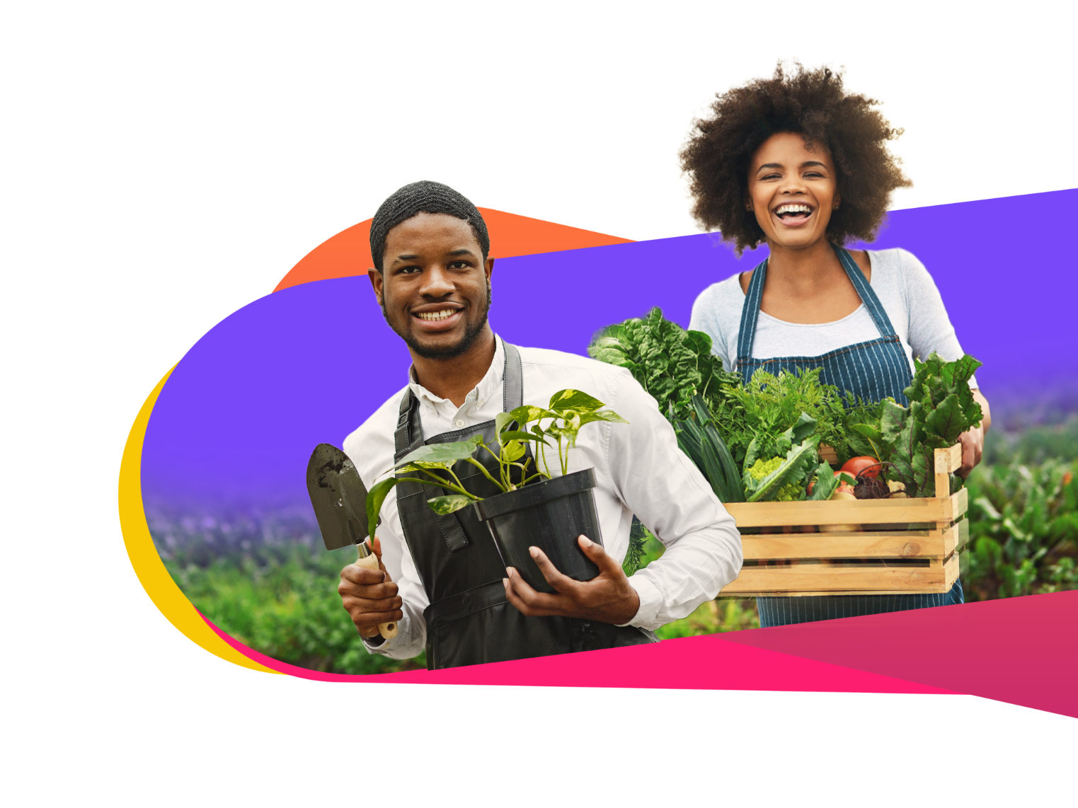 Agricultural innovation