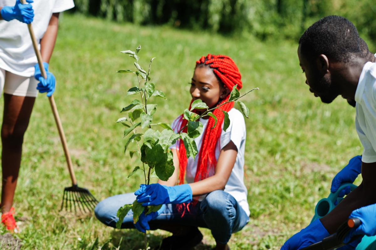 Contributions to the SDGs